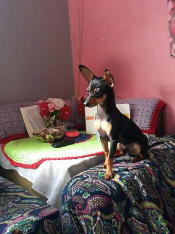Procuro uma namorada - Foto 2