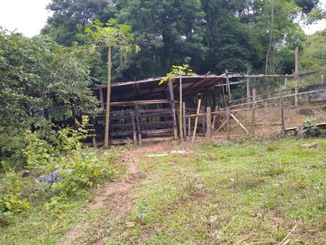 Sitio Viana 5 alqueires - Foto 11