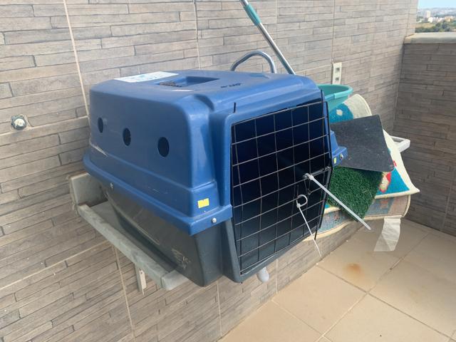 Caixa de transporte Pet tamanho Médio . - Foto 3