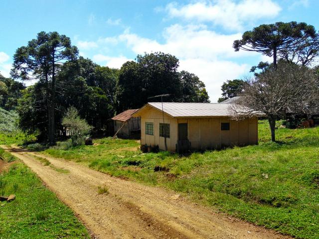 Fazenda de 123 Alqueires .40 Alq de Pasto . Guará ( Guarapuava PR ) - Foto 12