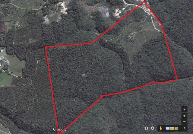 Fazenda em Porto Seguro - 900.000m²