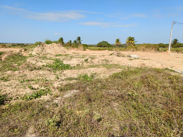Vendo lotes no cidade Arvoredo - Foto 5