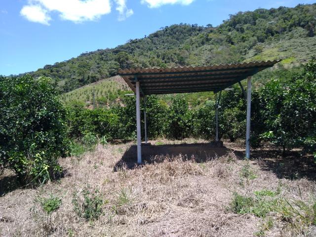 Sítio Viana 26 herquitares - Foto 5