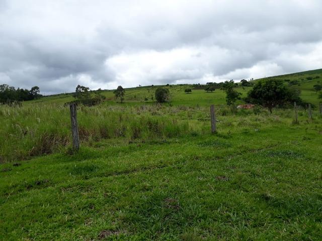 Sitio, 6 alqueires e meio, Siqueira Campos-PR - Foto 16