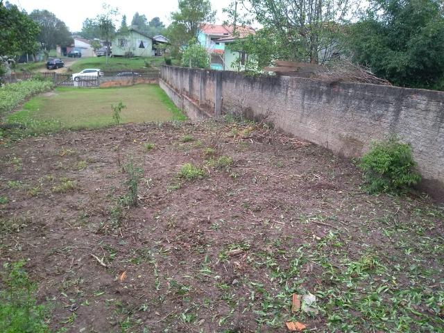Terreno urbano Itaiópolis - Foto 4