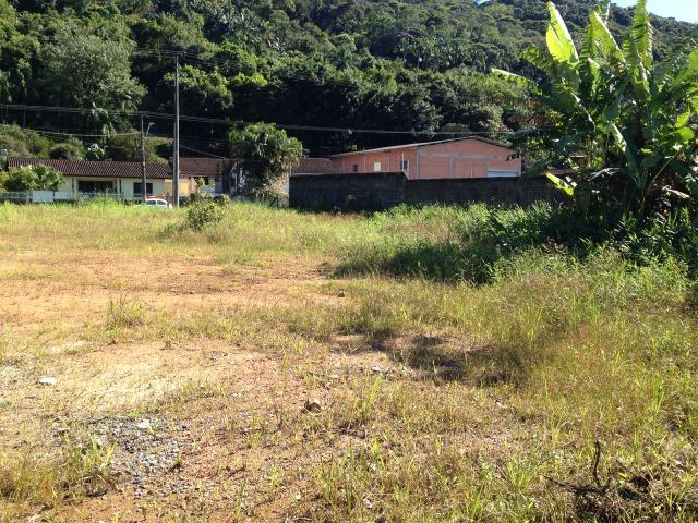 Terreno para alugar em Joinville/SC - Foto 6