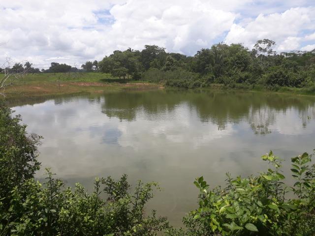Vendo - Troco Chácara 12 Hectares - Foto 3
