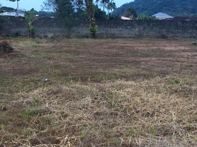 Terreno para alugar em Joinville/SC - Foto 9