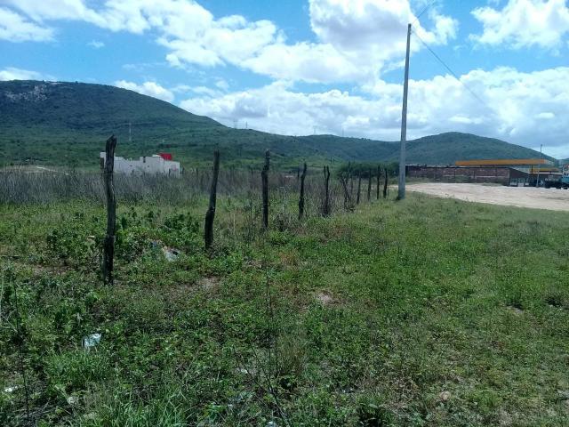 Vende-se cinco lotes em Taquaritinga do norte