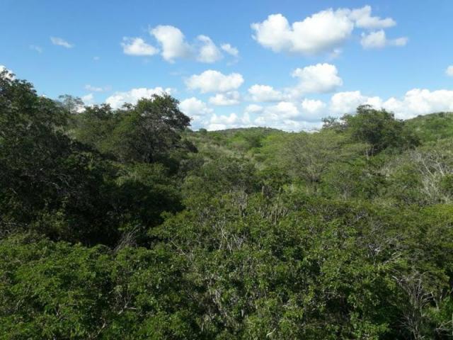 Fazenda para venda em santa cruz do capibaribe, centro - Foto 7