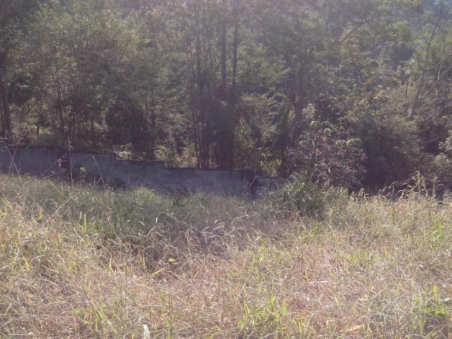Lote Mosaico da Serra - Foto 3