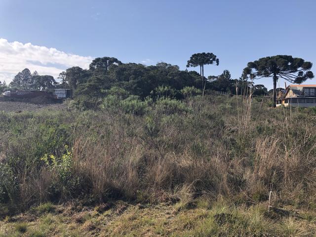 Terreno Condomínio Sol Nascente - Tijucas do Sul - Foto 5