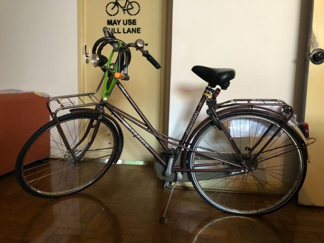 Bicicleta Holandesa Altra
