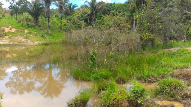 Chácara 5 Alqueires Rio Areia Córrego Nascente Corumbá de Goiás - Foto 16