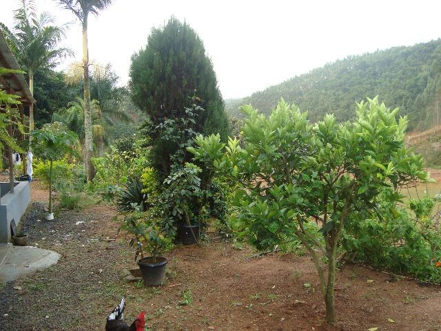 Sitio paraju 1alqueires - Foto 7