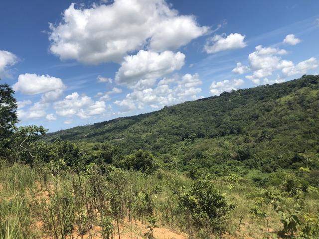 Terreno Privê Mirante de Aldeia II - Foto 8