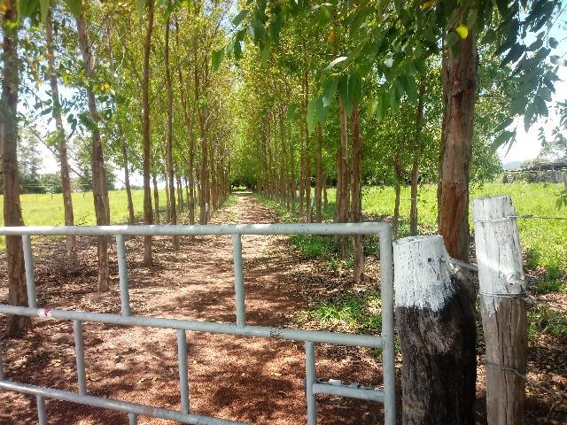 Chacara - Foto 10