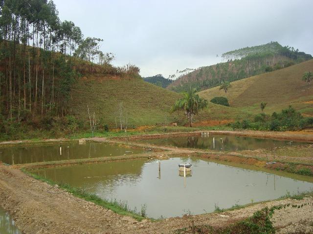 Sitio paraju 1alqueires - Foto 12