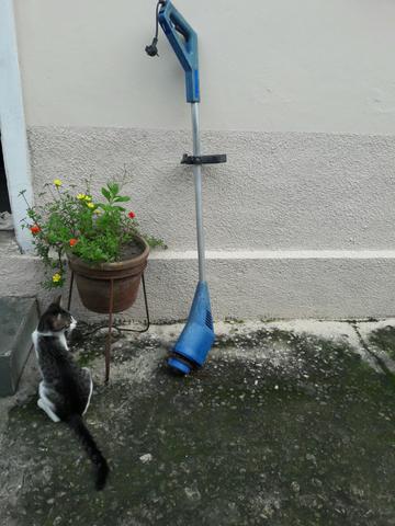 Roçadeira eletrica