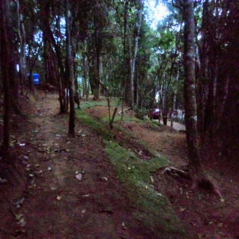 Lindo Terreno em meio à Natureza no bairro Fazenda - Foto 2