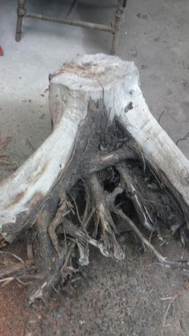 Arte em tocos, para plantas - Foto 2