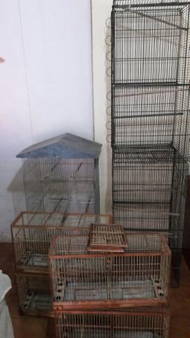 Vende se gaiolas - Foto 2