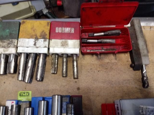 Brocas diversa e machos diversos - Foto 3