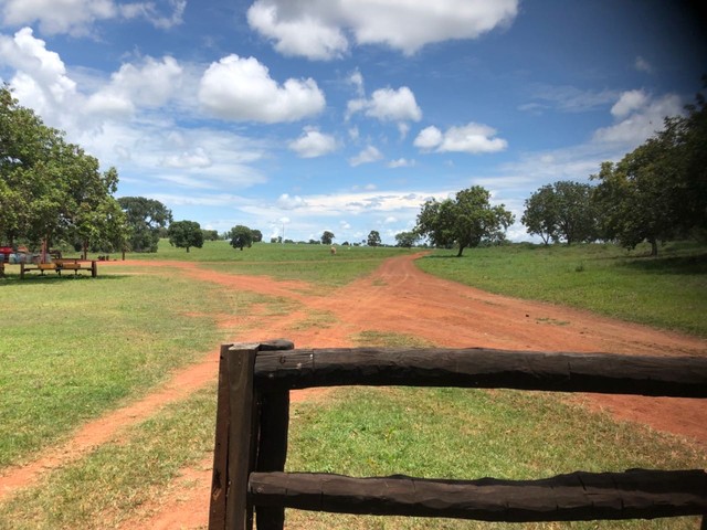 Fazenda  950 alqueires toda formada Sul do Estado município de peixe - Foto 2