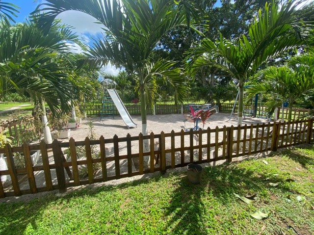 Sitio com 15.000 m2 de área em Conceição do Jacuípe
