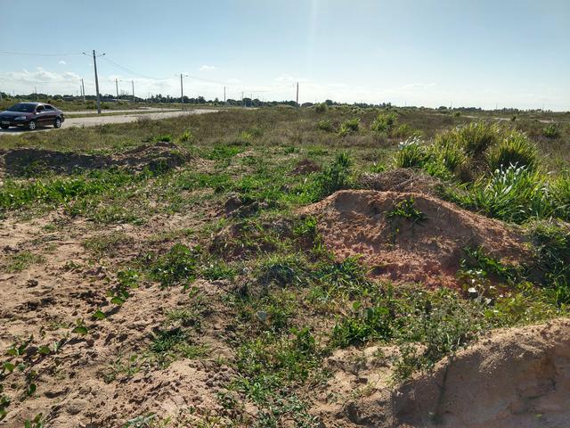 Vendo lotes no cidade Arvoredo - Foto 4