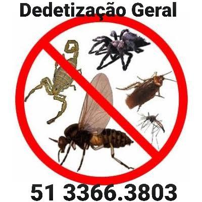 Dedetização de baratas Germanicas