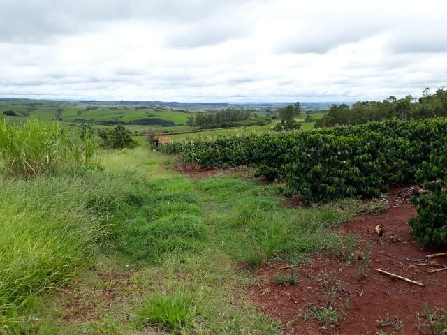 Sitio, 6 alqueires e meio, Siqueira Campos-PR - Foto 5