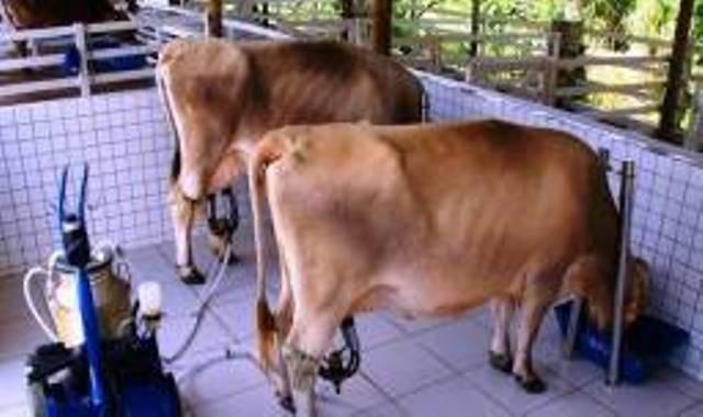 Terreno fazenda real III - Foto 6