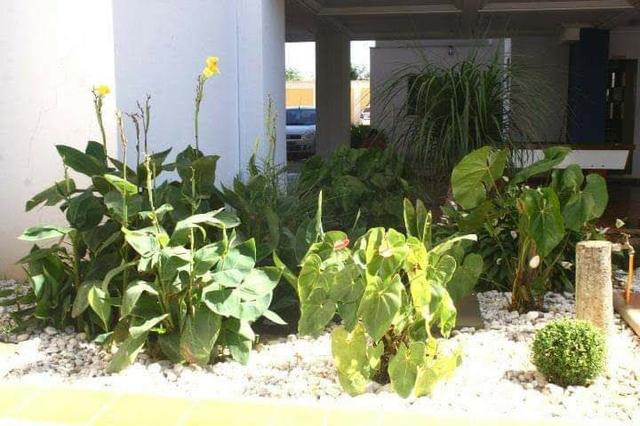 Aluguel Apartamento Caldas Novas - Foto 17
