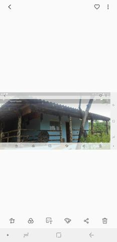 Vendo sítio engenho taquaracu - Foto 2