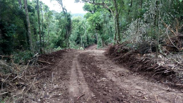 Chácara a venda - Foto 7