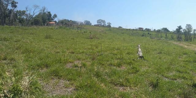 Grande black Friday terreno 10.000m2 de 120.mil a vista por 90 mil a vista - Foto 5