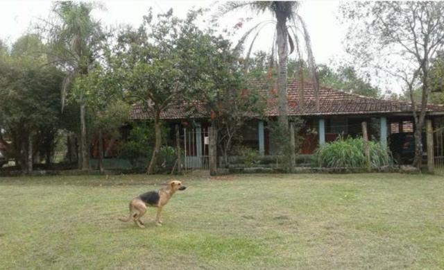 Lindo sitio 2 alqueires - Foto 4