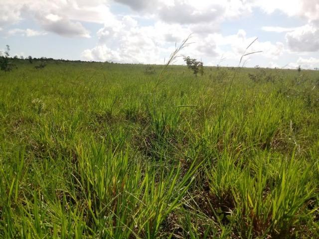 Vendo uma fazenda em rosário oeste - Foto 3