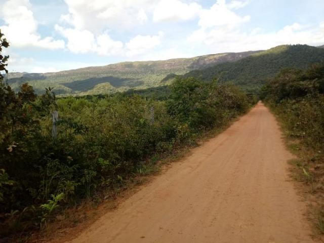Vendo uma fazenda em rosário oeste - Foto 8
