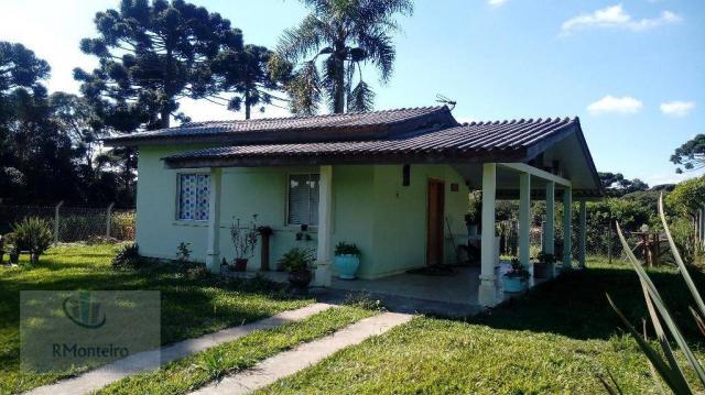 Chácara rural à venda, Campo Largo da Roseira, São José dos Pinhais.