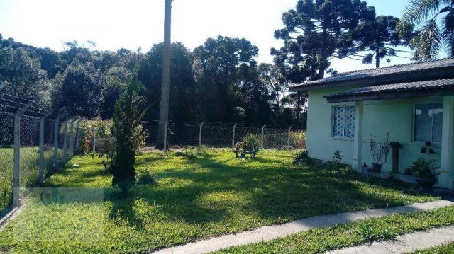 Chácara rural à venda, Campo Largo da Roseira, São José dos Pinhais. - Foto 3