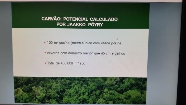 Fazenda na amazônia 913.000 hectares - Foto 20