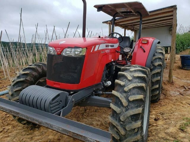 Trator Massey Ferguson 4290 turbo - Foto 3