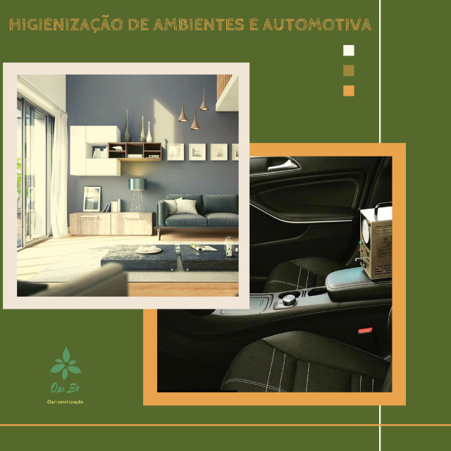 Oxi-sanitização em residências, oficinas, carros, comércios e clínicas. - Foto 4