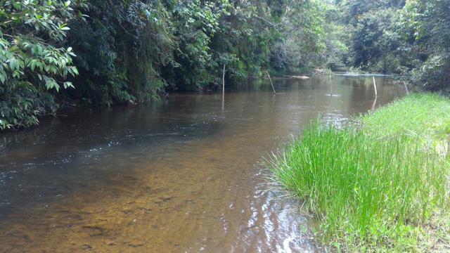 Chácara 5 Alqueires Rio Areia Córrego Nascente Corumbá de Goiás - Foto 18