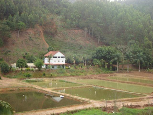 Sitio paraju 1alqueires - Foto 6