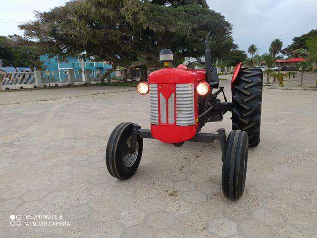 Trator Massey Ferguson 65x - Foto 4
