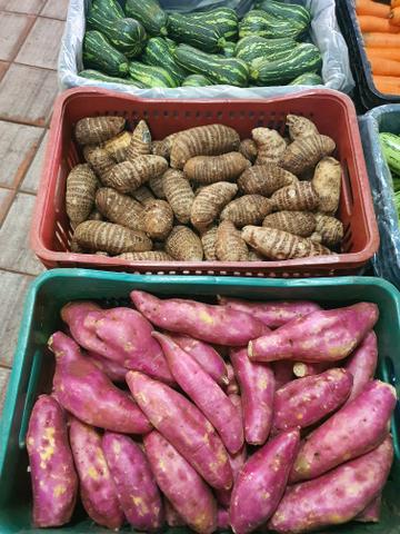 Venda de legumes em geral para Maringá,Paiçandu e Sarandi : tomate,cenoura,beterraba - Foto 3