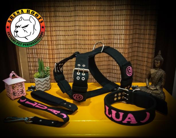 Kit personalizado para seu dog